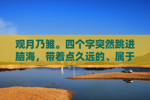 观月乃雏。四个字突然跳进脑海，带着点久远的、属于童年的湿润，观月乃雏