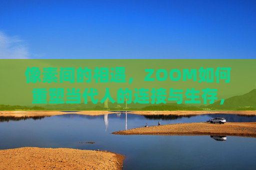 像素间的相遇，ZOOM如何重塑当代人的连接与生存，像素相遇，ZOOM重塑连接与生存