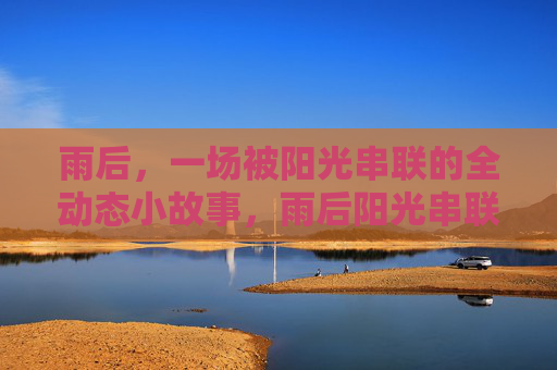 雨后，一场被阳光串联的全动态小故事，雨后阳光串联的全动态故事
