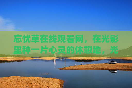 忘忧草在线观看网，在光影里种一片心灵的休憩地，光影种心憩，忘忧草在线观看网