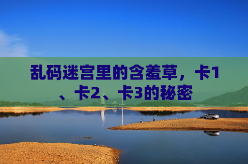 乱码迷宫里的含羞草，卡1、卡2、卡3的秘密