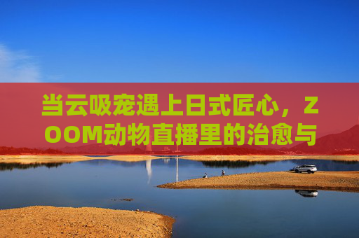 当云吸宠遇上日式匠心，ZOOM动物直播里的治愈与温度，云吸宠邂逅日式匠心，ZOOM直播间的治愈温度