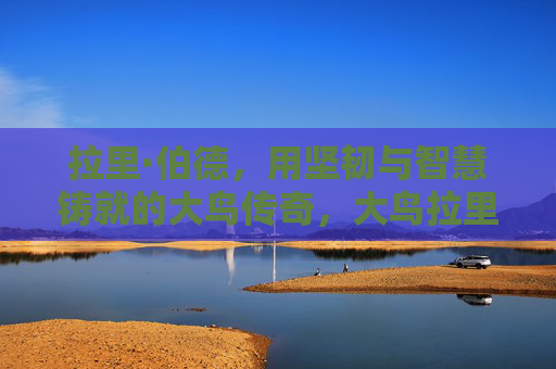 拉里·伯德，用坚韧与智慧铸就的大鸟传奇，大鸟拉里·伯德，坚韧与智慧的传奇
