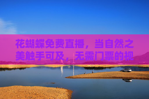 花蝴蝶免费直播，当自然之美触手可及，无需门票的视觉盛宴，花蝴蝶免费直播，触手可及的自然视觉盛宴