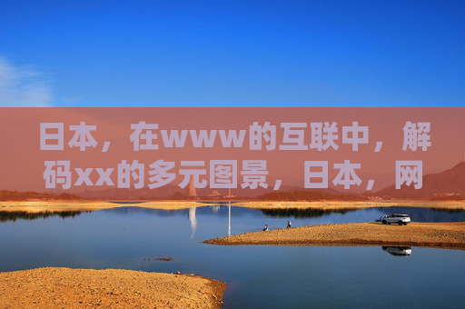 日本，在www的互联中，解码xx的多元图景，日本，网络互联中解码xx的多元图景