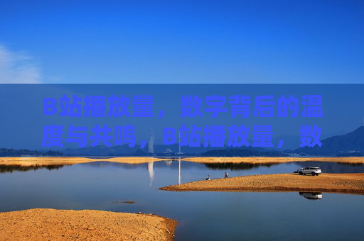 B站播放量，数字背后的温度与共鸣，B站播放量，数字背后的温度与共鸣