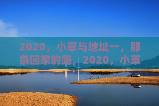2020，小草与地址一，那条回家的路，2020，小草与归途