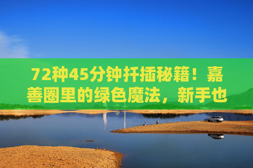 72种45分钟扦插秘籍！嘉善圈里的绿色魔法，新手也能秒变园艺达人，72种45分钟扦插秘籍，嘉善圈绿色魔法，新手秒变园艺达人