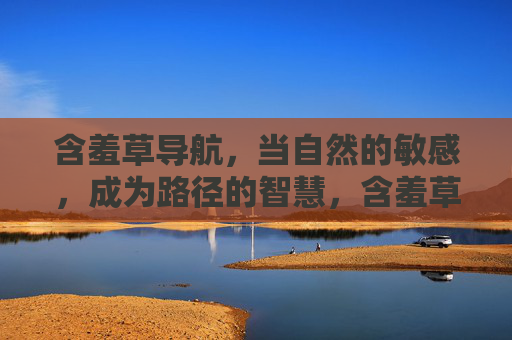 含羞草导航，当自然的敏感，成为路径的智慧，含羞草导航，自然敏感的路径智慧