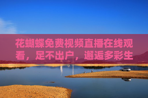 花蝴蝶免费视频直播在线观看，足不出户，邂逅多彩生活瞬间，花蝴蝶免费直播，足不出户邂逅多彩生活瞬间
