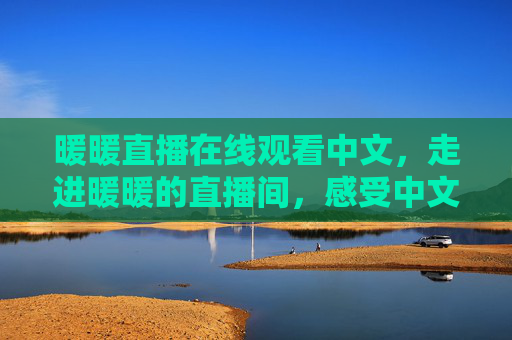 暖暖直播在线观看中文，走进暖暖的直播间，感受中文直播的温暖与陪伴，暖暖中文直播间，在线感受温暖陪伴