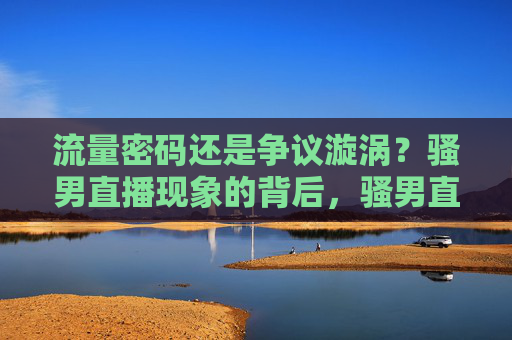 流量密码还是争议漩涡？骚男直播现象的背后，骚男直播，流量密码与争议漩涡的共生之谜