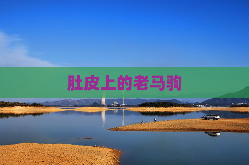 肚皮上的老马驹