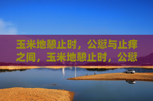 玉米地憩止时，公愆与止痒之间，玉米地憩止时，公愆与止痒之间