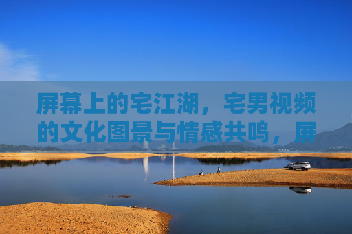 屏幕上的宅江湖，宅男视频的文化图景与情感共鸣，屏幕上的宅江湖，宅男视频的文化图景与情感共鸣