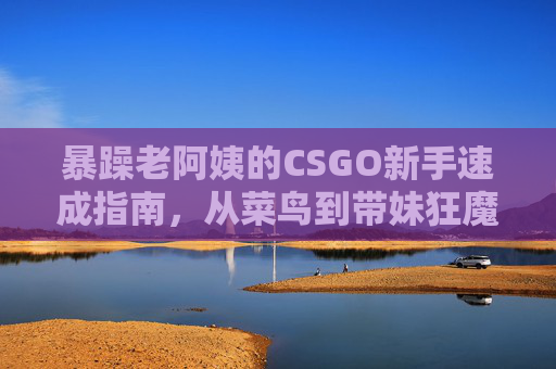 暴躁老阿姨的CSGO新手速成指南，从菜鸟到带妹狂魔的爆笑逆袭，暴躁老阿姨CSGO速成，菜鸟秒变带妹狂魔的爆笑逆袭