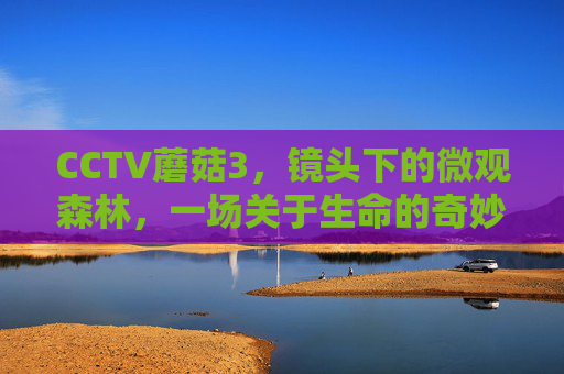 CCTV蘑菇3，镜头下的微观森林，一场关于生命的奇妙对话，镜头下的微观森林，蘑菇的生命对话