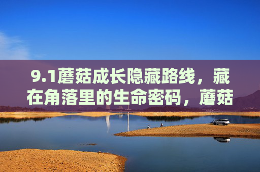 9.1蘑菇成长隐藏路线，藏在角落里的生命密码，蘑菇成长隐藏路线，角落里的生命密码