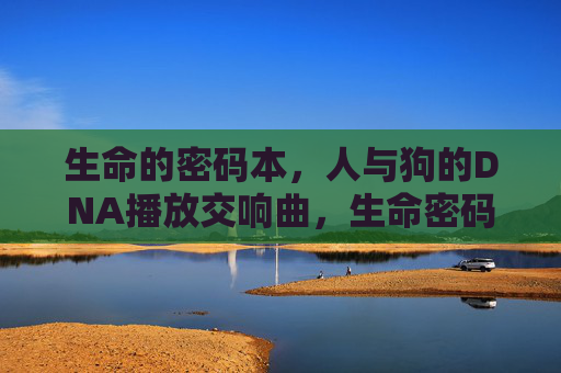 生命的密码本，人与狗的DNA播放交响曲，生命密码，人与狗的DNA交响曲