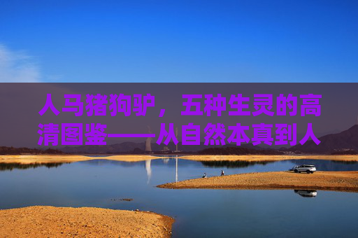 人马猪狗驴，五种生灵的高清图鉴——从自然本真到人文印记，五种生灵高清图鉴，自然本真与人文印记