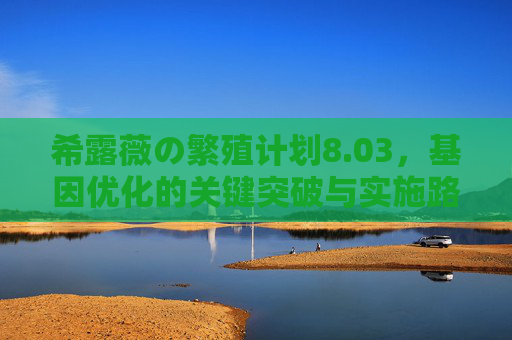 希露薇の繁殖计划8.03，基因优化的关键突破与实施路径，希露薇の繁殖计划8.03，基因优化的关键突破与实施路径