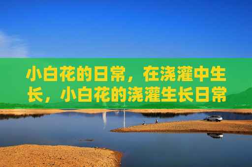 小白花的日常，在浇灌中生长，小白花的浇灌生长日常