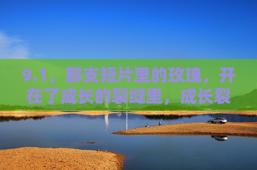 9.1，那支短片里的玫瑰，开在了成长的裂缝里，成长裂缝里的玫瑰