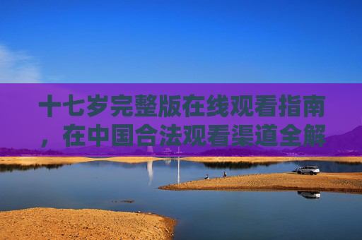 十七岁完整版在线观看指南，在中国合法观看渠道全解析，十七岁完整版中国合法在线观看全指南