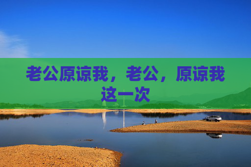 老公原谅我，老公，原谅我这一次