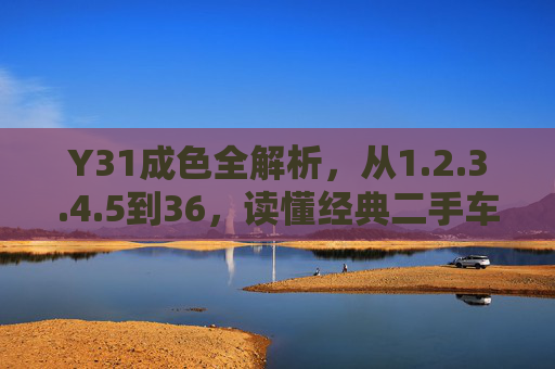 Y31成色全解析，从1.2.3.4.5到36，读懂经典二手车的价值密码