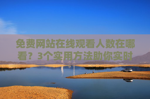 免费网站在线观看人数在哪看？3个实用方法助你实时掌握，免费网站在线观看人数实时掌握，3个实用方法