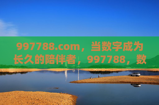 997788.com，当数字成为长久的陪伴者，997788，数字的长久陪伴