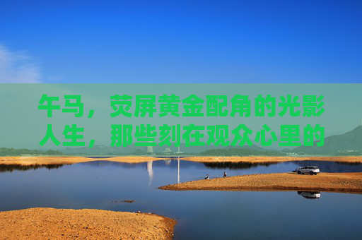 午马，荧屏黄金配角的光影人生，那些刻在观众心里的电视剧经典，午马，荧屏黄金配角的光影经典人生