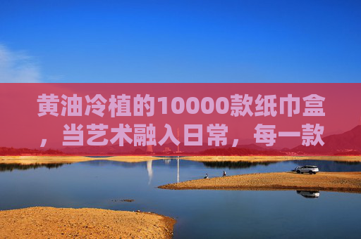 黄油冷植的10000款纸巾盒，当艺术融入日常，每一款都是生活的小诗，黄油冷植万款纸巾盒，艺术入日常，生活有诗