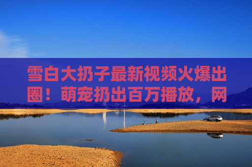 雪白大扔子最新视频火爆出圈！萌宠扔出百万播放，网友，笑不活了！雪白大扔子萌宠视频火爆出圈 百万播放笑翻网友