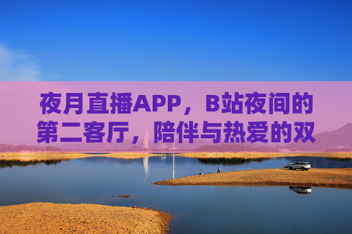 夜月直播APP，B站夜间的第二客厅，陪伴与热爱的双向奔赴，夜月直播，B站夜间的第二客厅，陪伴与热爱的双向奔赴