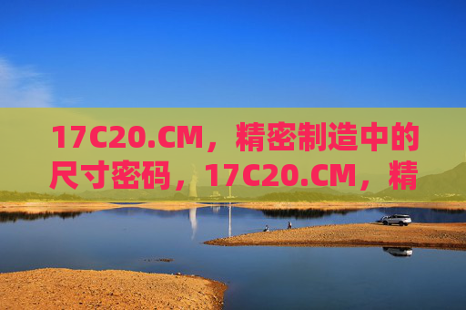 17C20.CM，精密制造中的尺寸密码，17C20.CM，精密制造的尺寸密码