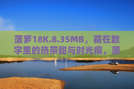 菠萝18K.8.35MB，藏在数字里的热带甜与时光痕，菠萝数字甜，18K与8.35MB的时光痕