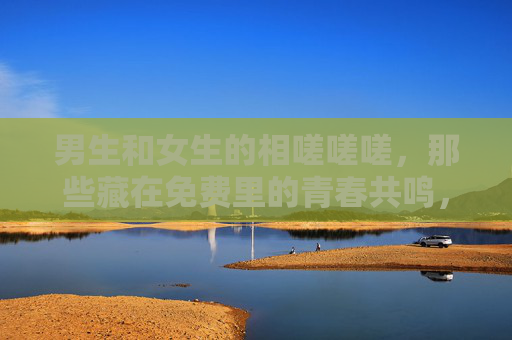 男生和女生的相嗟嗟嗟，那些藏在免费里的青春共鸣，免费共嗟，男生女生的青春共鸣