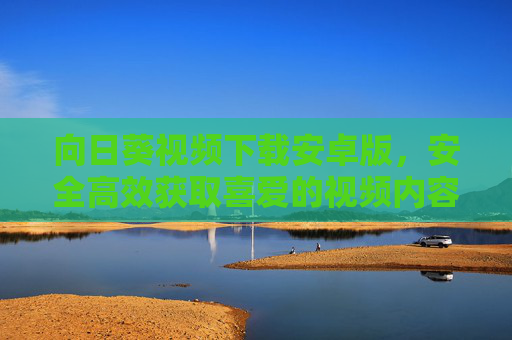 向日葵视频下载安卓版，安全高效获取喜爱的视频内容，向日葵视频下载安卓版，安全高效获取喜爱视频