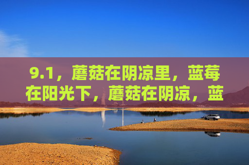 9.1，蘑菇在阴凉里，蓝莓在阳光下，蘑菇在阴凉，蓝莓在阳光下