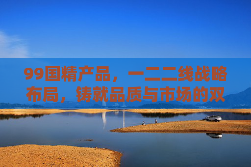 99国精产品，一二二线战略布局，铸就品质与市场的双重标杆，99国精产品，一二二线战略布局铸就品质市场双标杆