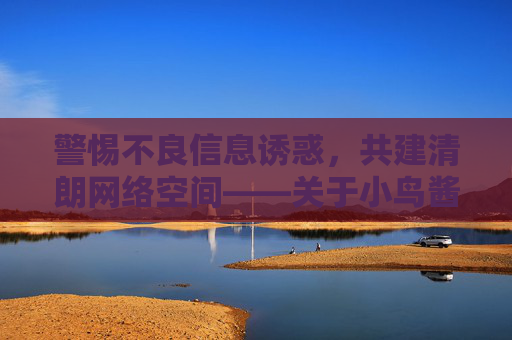 警惕不良信息诱惑，共建清朗网络空间——关于小鸟酱在线播放的警示，警惕小鸟酱在线播放诱惑，共建清朗网络空间