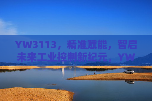 YW3113，精准赋能，智启未来工业控制新纪元，YW3113精准赋能智启工业控制新纪元