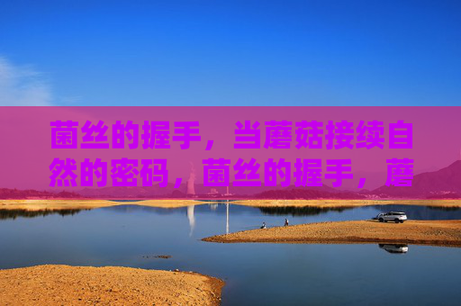 菌丝的握手，当蘑菇接续自然的密码，菌丝的握手，蘑菇接续自然密码