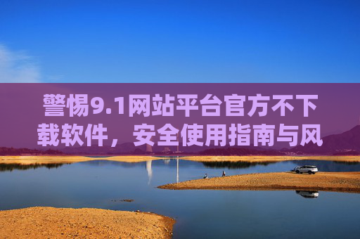 警惕9.1网站平台官方不下载软件，安全使用指南与风险防范，警惕9.1网站平台官方不下载软件，安全使用指南与风险防范