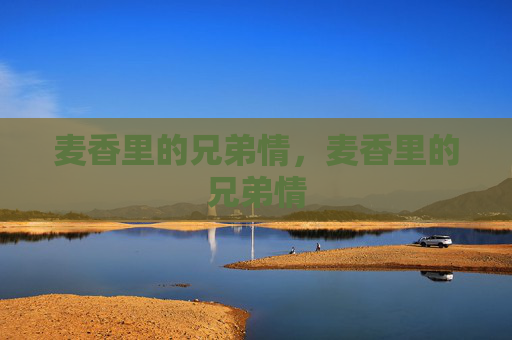 麦香里的兄弟情，麦香里的兄弟情