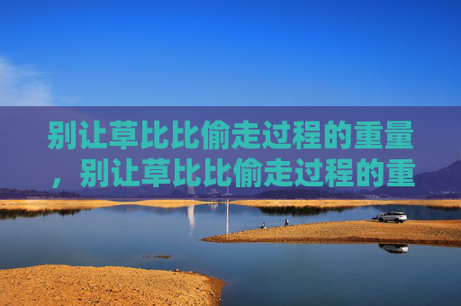 别让草比比偷走过程的重量，别让草比比偷走过程的重量