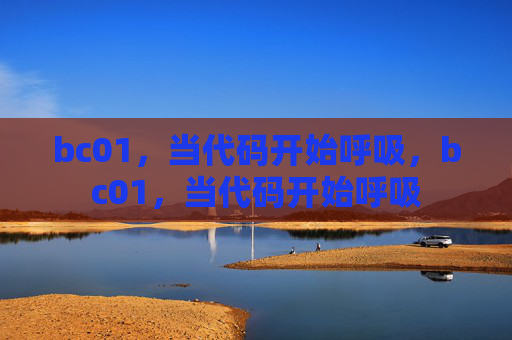 bc01，当代码开始呼吸，bc01，当代码开始呼吸
