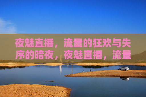夜魅直播，流量的狂欢与失序的暗夜，夜魅直播，流量狂欢与暗夜失序